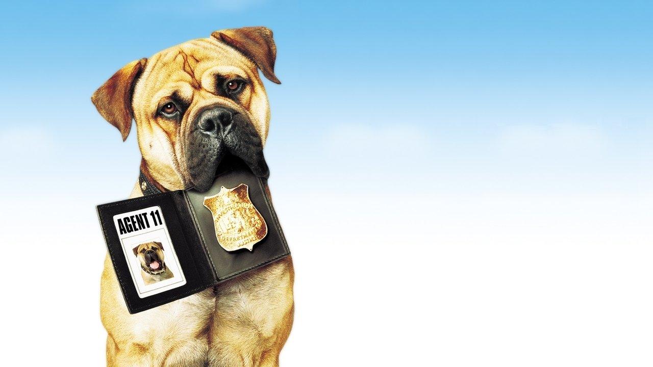 Агент в оставка