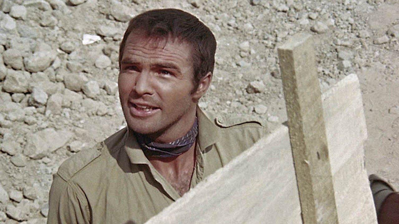 Съкровището на акулите