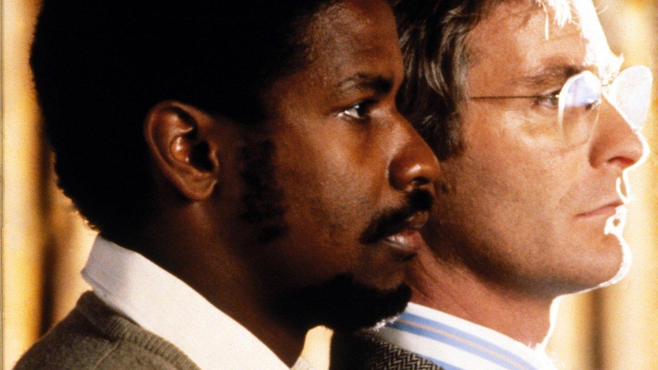 Изстрадана свобода