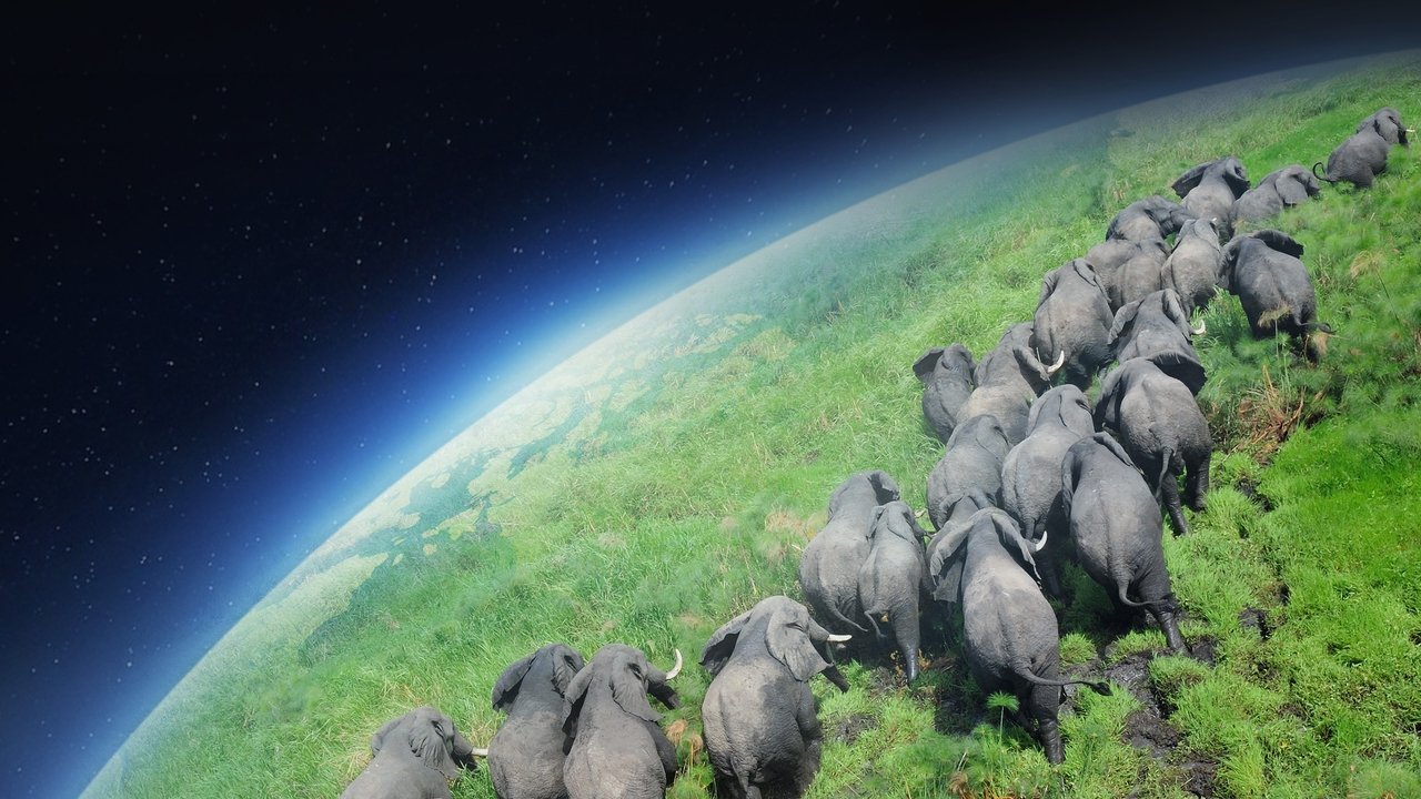 Planet Erde