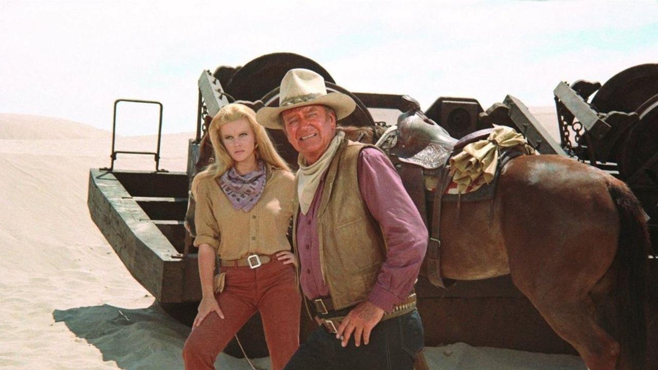 Обирджии на влакове