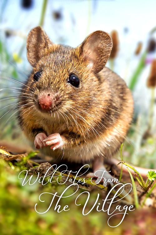Das Dorf der wilden Tiere
